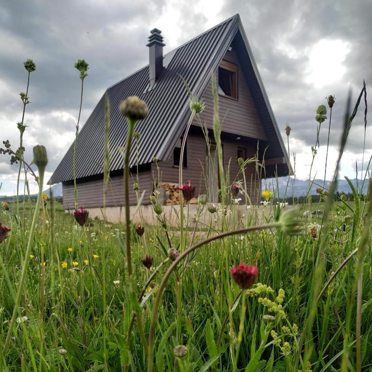 Brown cabin - Two-Bedroom Chalet - 1
