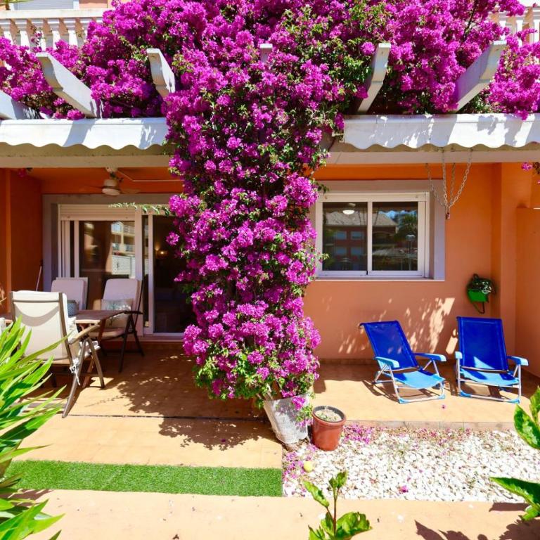 Apartamento Premium en planta baja junto al Parador y playa del Arenal - Apartamento de 2 dormitorios - 10