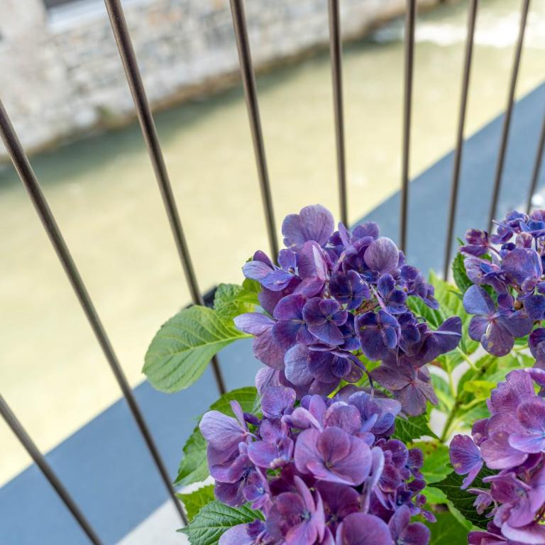 Luxury 2BR w/ River Castle View in Borgo Valsugana - Apartamento de 2 dormitorios - 6