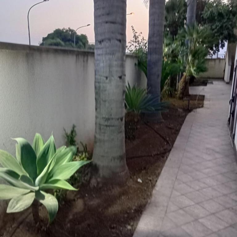 Viki House Mazara - Appartamento con 2 Camere da Letto - 11