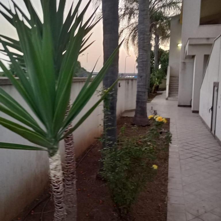 Viki House Mazara - Appartamento con 2 Camere da Letto - 18
