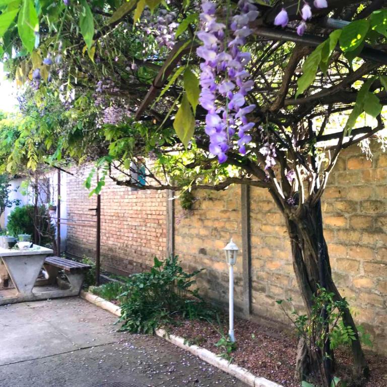 sun holiday house - Two-Bedroom House - 26