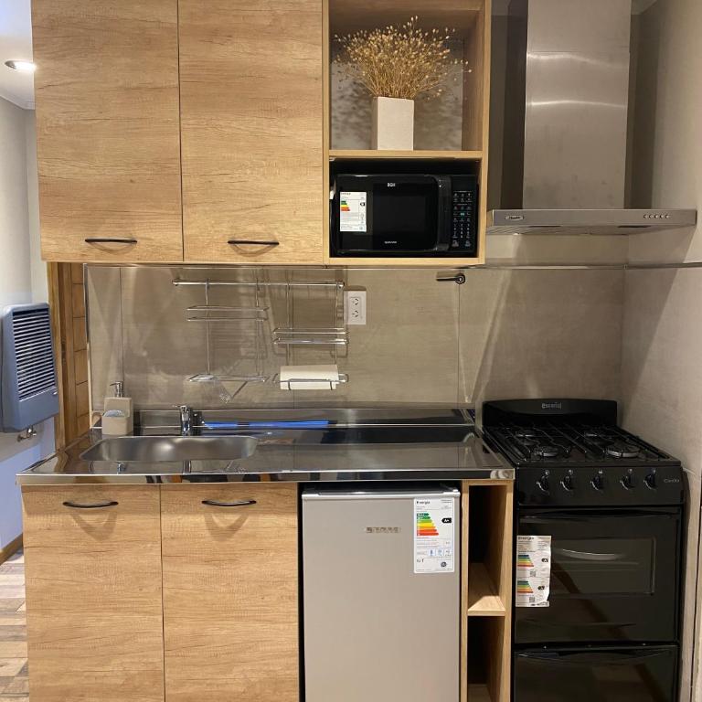 Complejo Quillaipe Apart Suite - Studio Apartment with One Double Bed - 1