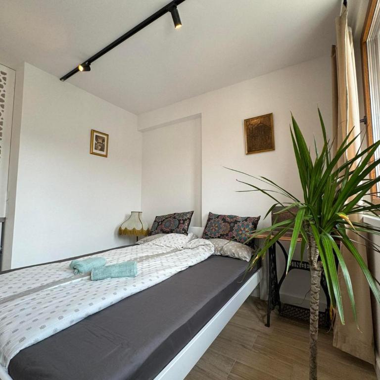 M apartments - Apartman - 17