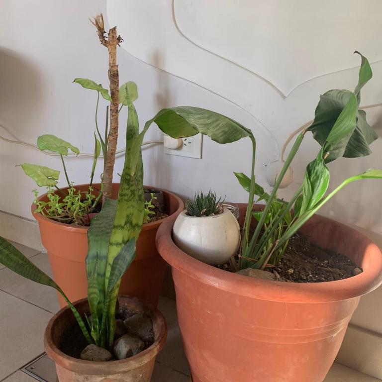 La Casita de Tere - Apartamento de 2 dormitorios - 16