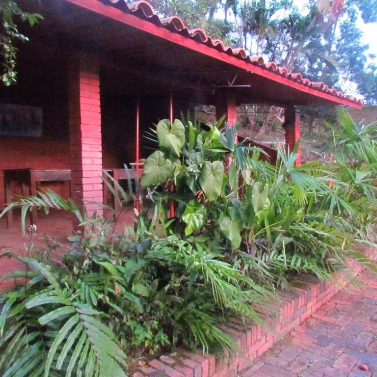 Finca El Paraíso - Chalet de 3 dormitorios - 30