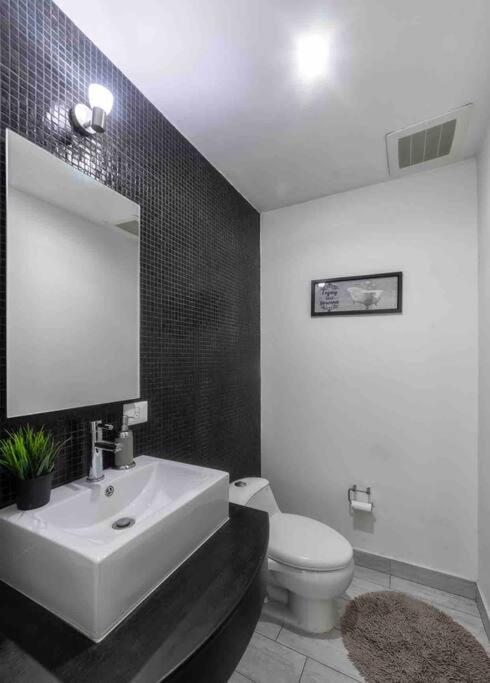 Luxury Chapultepec Apartment - Apartamento de 3 dormitorios - 22