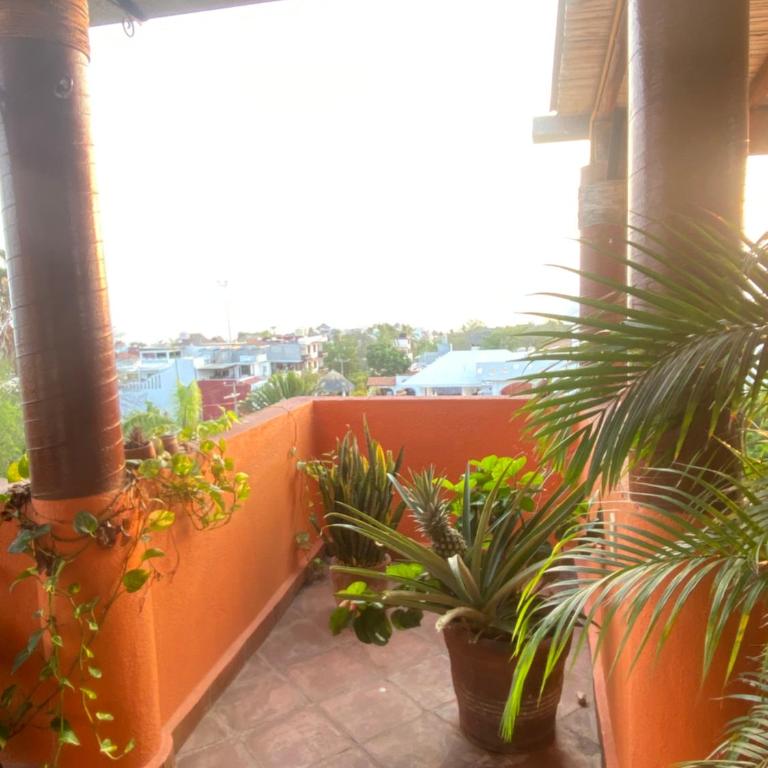 Cielito Lindo Suites - Suite Junior con terraza - 11