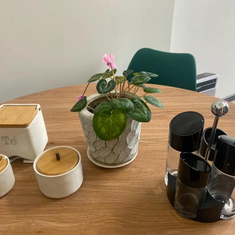 Vista panoramica lago y volcanes - Apartamento de 2 dormitorios con vistas al lago - 2