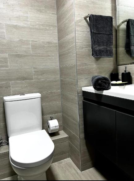 Vista panoramica lago y volcanes - Apartamento de 2 dormitorios con vistas al lago - 12