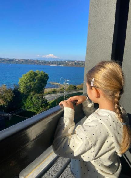 Vista panoramica lago y volcanes - Apartamento de 2 dormitorios con vistas al lago - 14