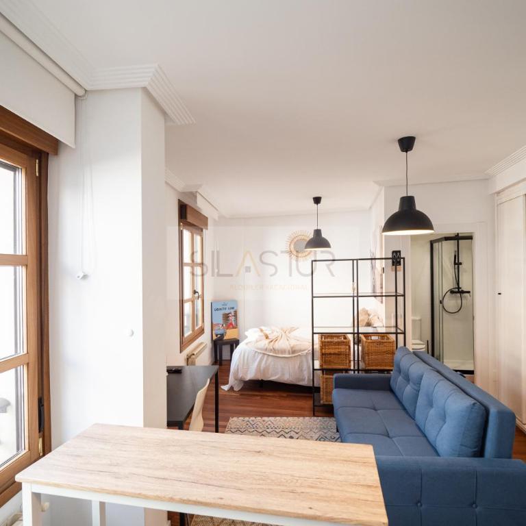 Love Begoña By Silastur - Apartamento de 1 dormitorio - 15