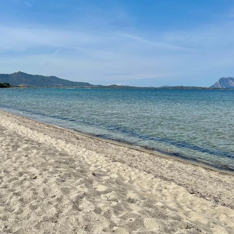 ISS Travel, San Teodoro 1 - 100 m from Cala d'Ambra Beach - Appartamento con 1 Camera da Letto - 6