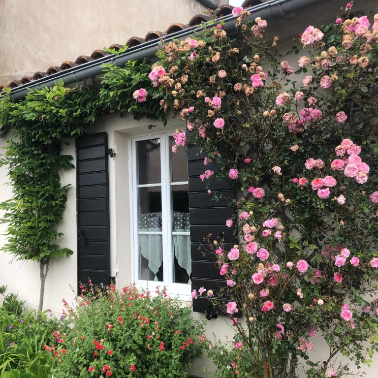 Le Cottage - Ferienhaus - 7