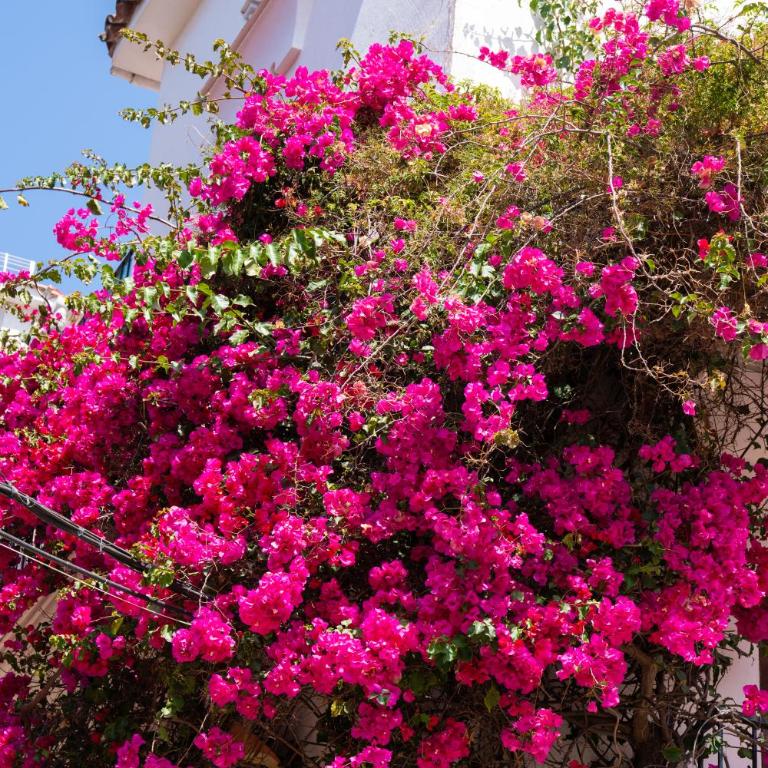 Marbella Luxury Dúplex 106 close to the beach - Two-Bedroom Apartment - 67