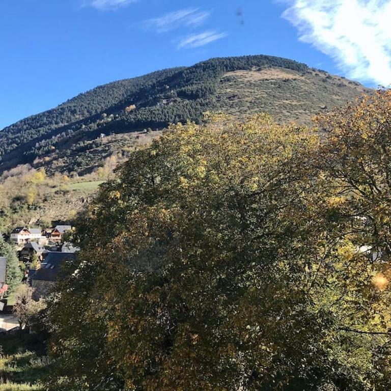A1 eraclau - Eth Pedralles con 2 garages en VIELHA - Apartamento de 3 dormitorios - 14