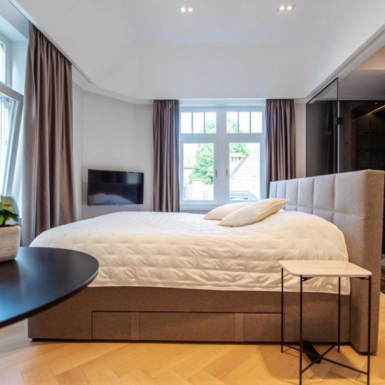 Engadin Suite in Heart of City - Studio Apartment - 1