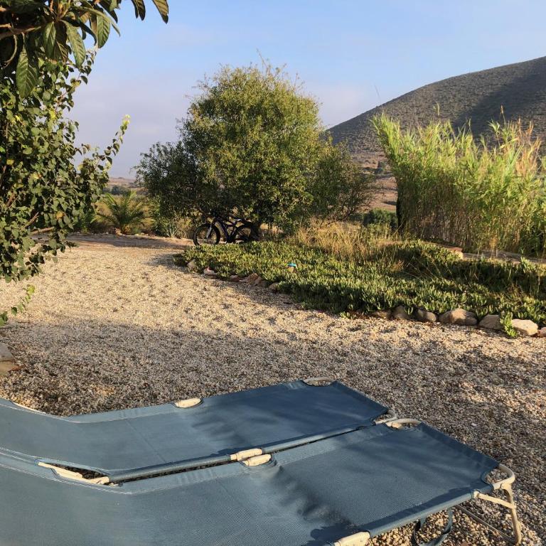 Estudio en cortijo en Fernán Pérez - Apartamento de 1 dormitorio - 18