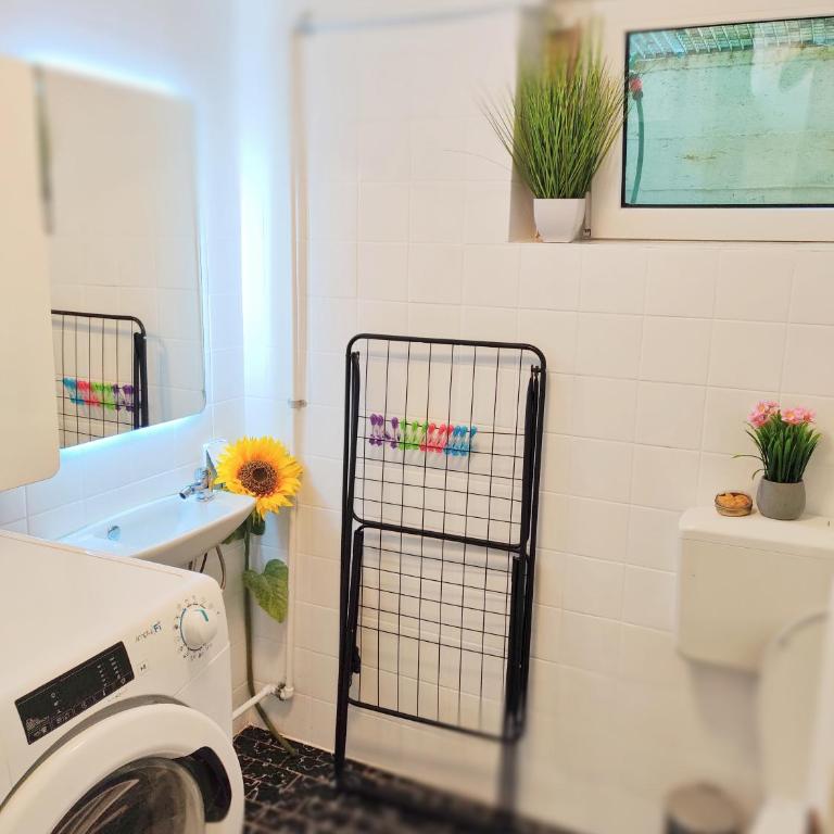 Wellness- HotTub & Sauna- Pet Friendly- Hiking - Apartment - 15