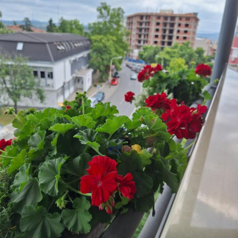 Garni Hotel Ema - Two-Bedroom Apartment - 11