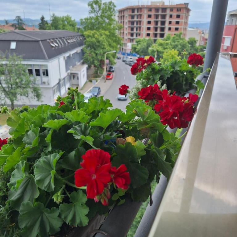 Garni Hotel Ema - Two-Bedroom Apartment - 7