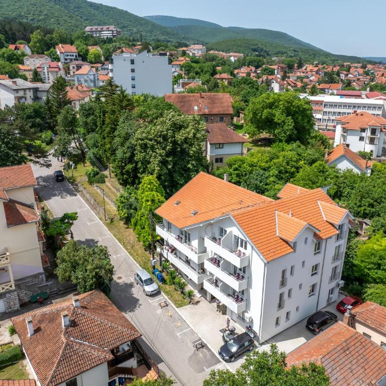 Milutinn-Trešnja - Apartman sa 1 Spavaćom Sobom - 41