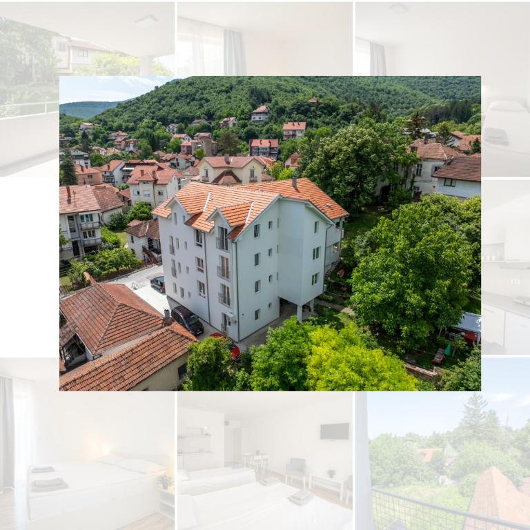 Milutinn-Kruška-Magnolija - One-Bedroom Apartment - 45