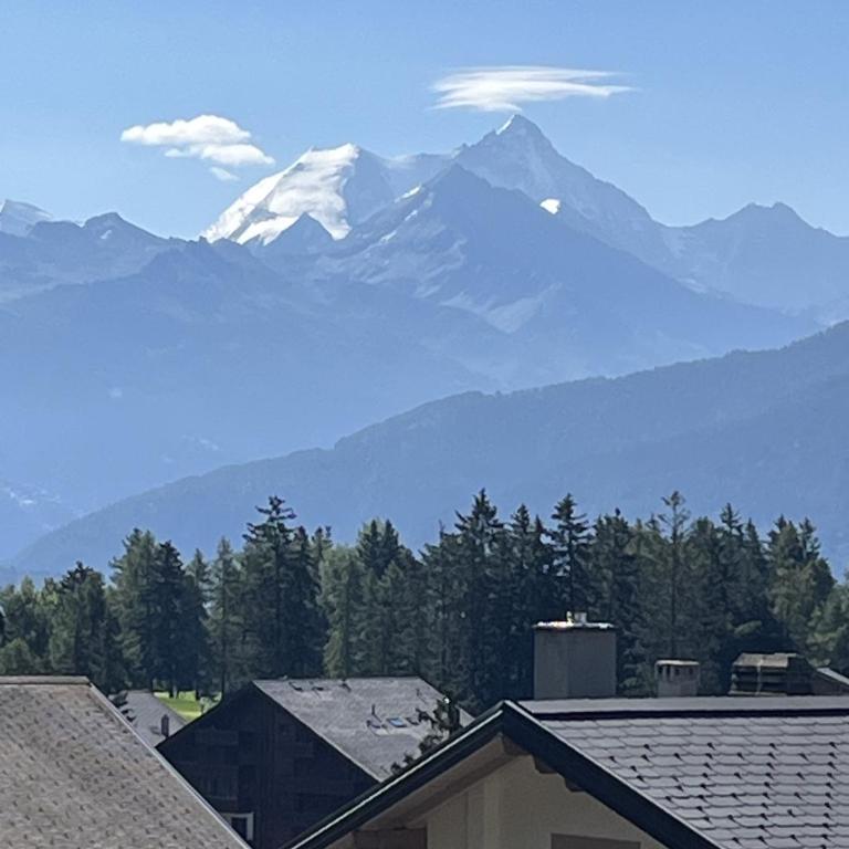 L'Eperon Center Crans wonderful view - Appartement Supérieur - 26