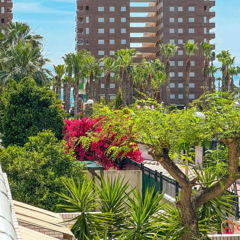 Aires Mediterráneos - Apartamento de 2 dormitorios con balcón - 31