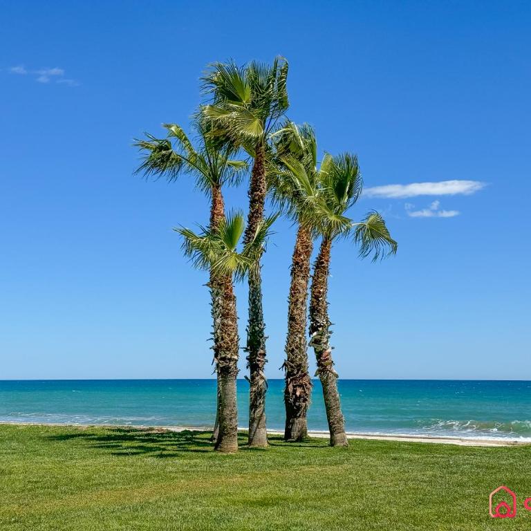 Aires Mediterráneos - Apartamento de 2 dormitorios con balcón - 42