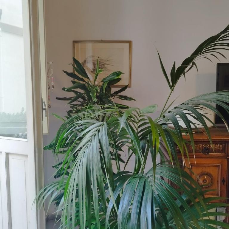 Casa Sanna Cagliari - Appartamento con 2 Camere da Letto e Balcone - 4