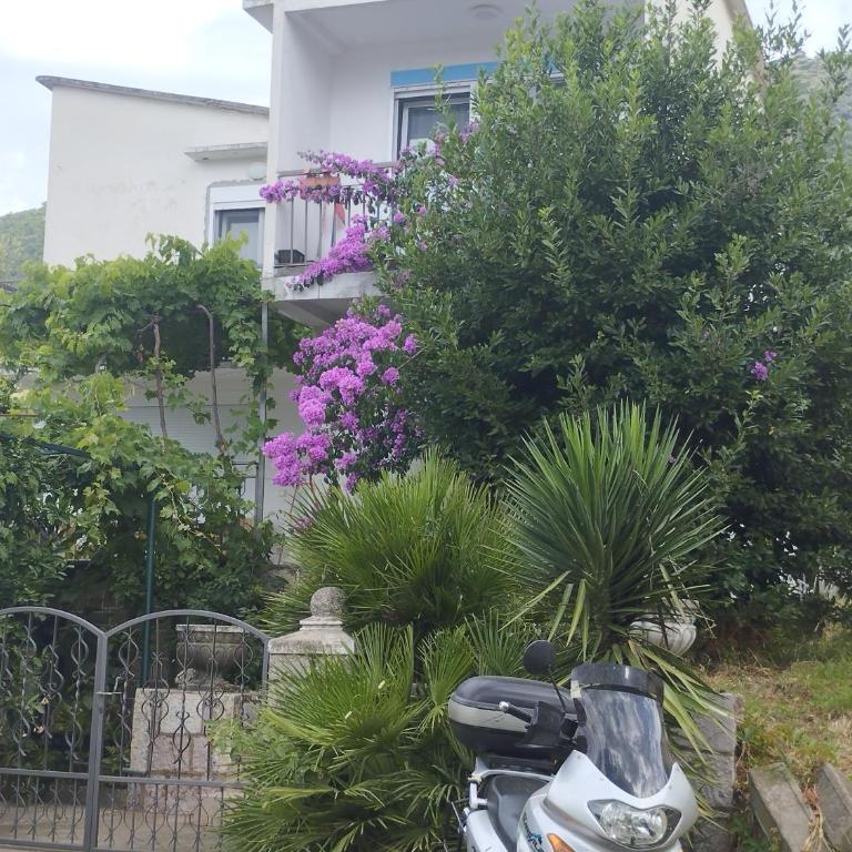Sobica 2 - One-Bedroom Apartment - 2