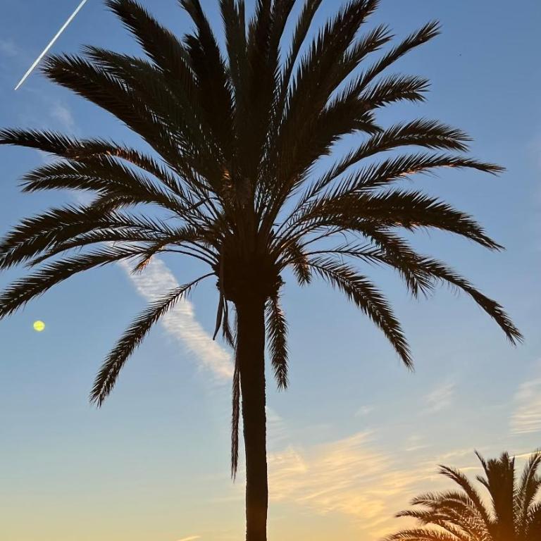 Apartamento al Parque Marbella, cerca de Mar y centro de Marbella - Two-Bedroom Apartment - 49