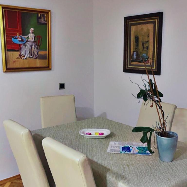 Apartment Vila Tara - Two-Bedroom Apartment with Balcony - 17