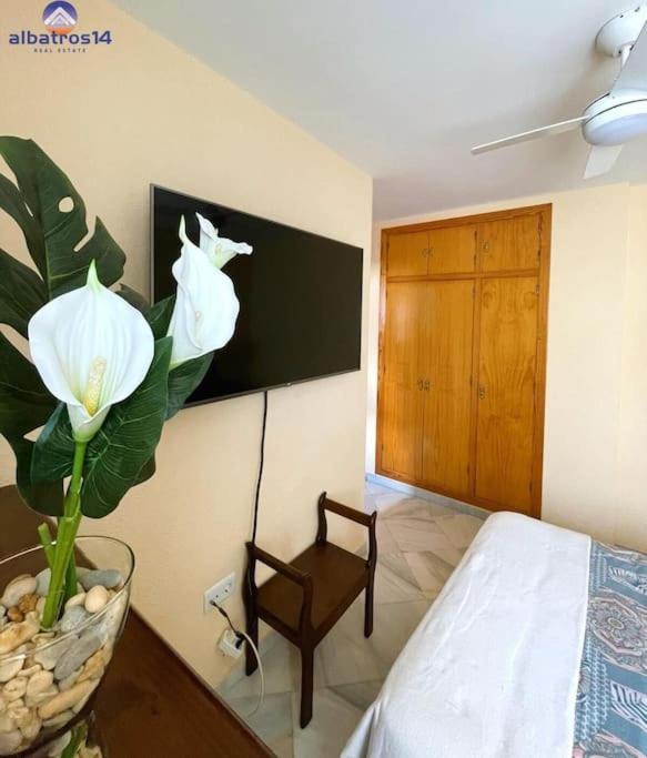 EL Rompido Los Enebros Pet Friendly Alquiler vacacional - Four-Bedroom House - 31