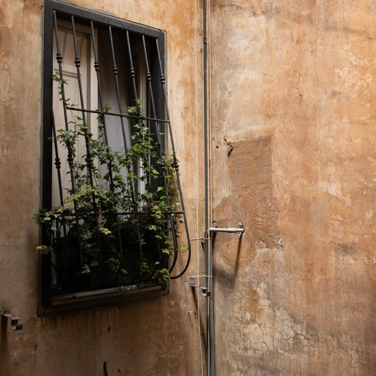 COLOSSEUM VIEW ACCOMODATION - Appartamento con 1 Camera da Letto - 61