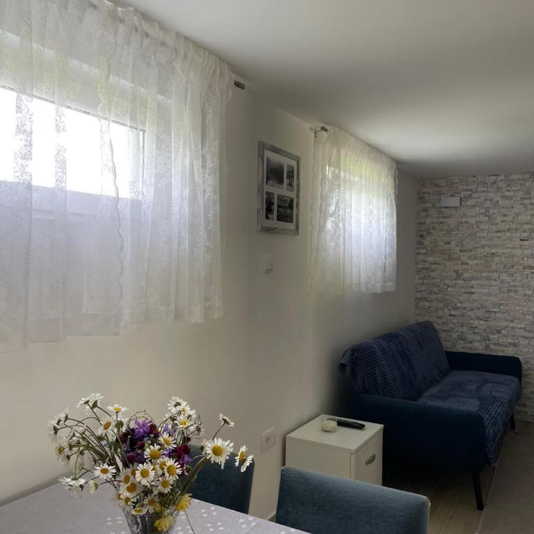 Montenegro High Mountain Apartment - Apartment - 9