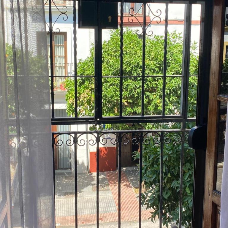 La Escalerita - Standard Double Room - 4
