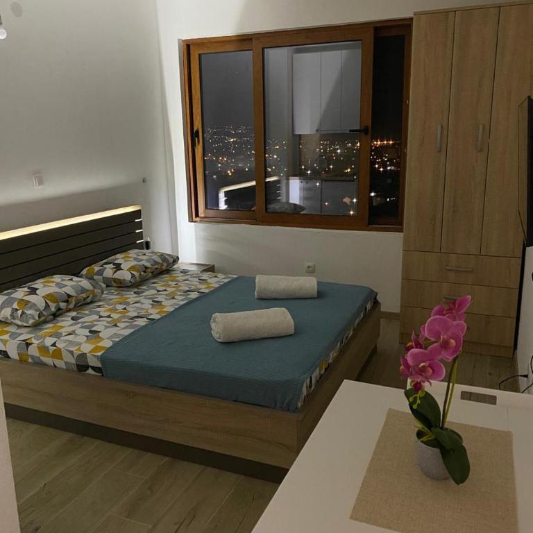 Apartmani Knezevic - Apartment with City View - 11