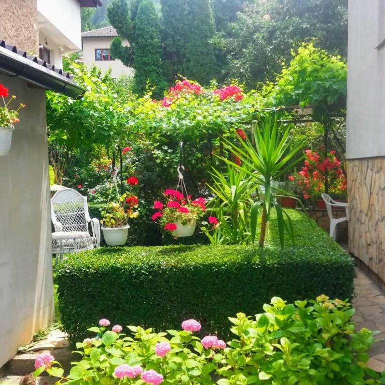 Modern&Cozy Bosnian house with GARDEN+FREE parking - Porodični Apartman Tipa "Suite" - 4