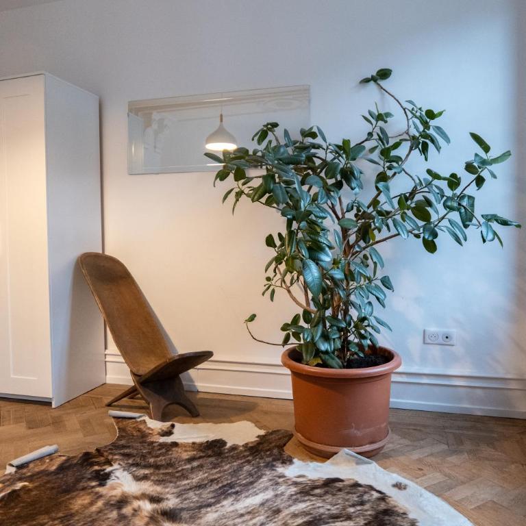 Les Appartements Rue des Veaux - Quartier Cathédrale - Apartamento de 3 dormitorios - 3ª planta - 30
