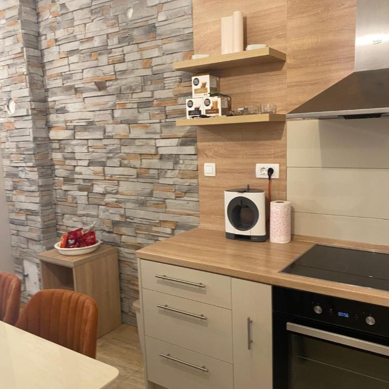 Zlatni dar - One-Bedroom Apartment - 6