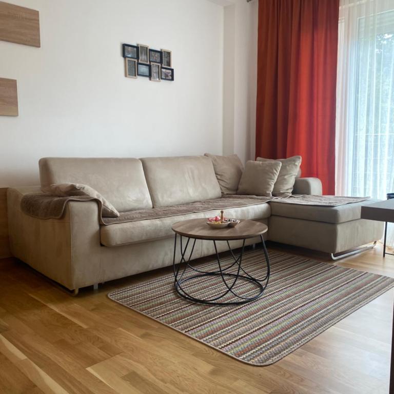 Zlatni dar - One-Bedroom Apartment - 9