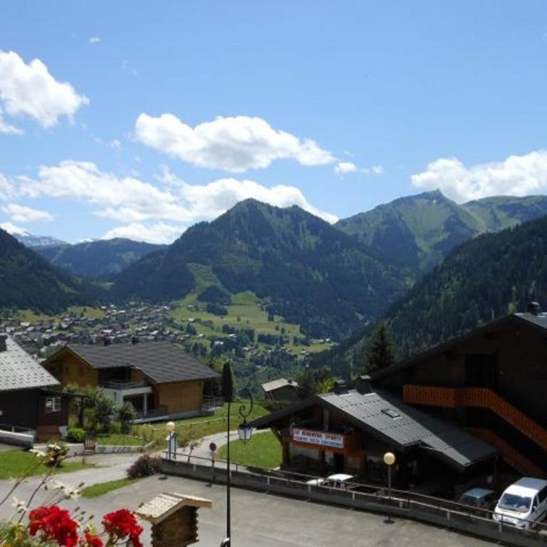 Appartement Châtel - 5 Pers, Proche Pistes, Animaux Acceptés - FR-1-676-176 - Appartement - 9