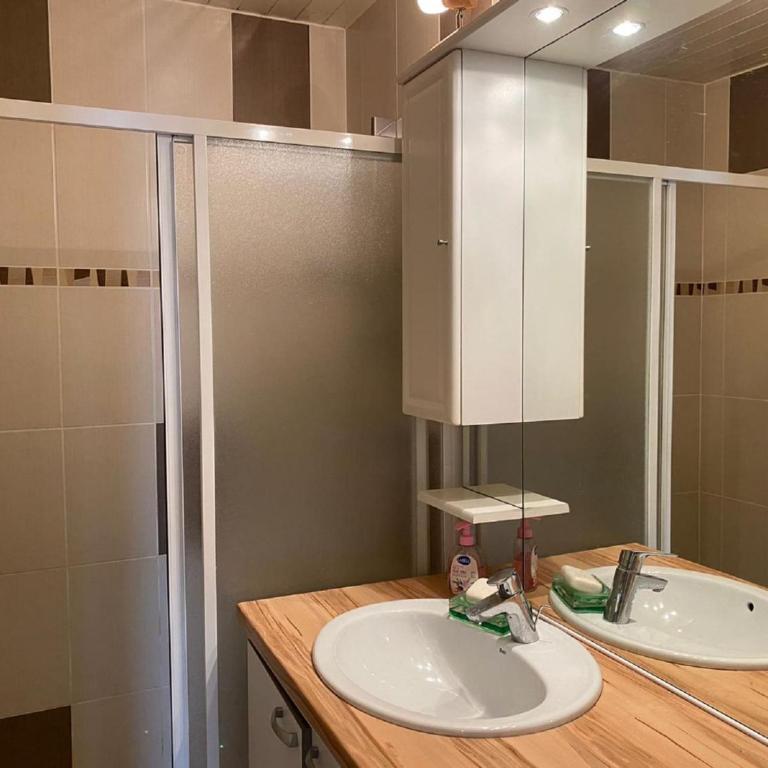 Chalet 3 Pièces, 6 Pers, Animaux Admis, Parking - FR-1-676-164 - Appartement - 7