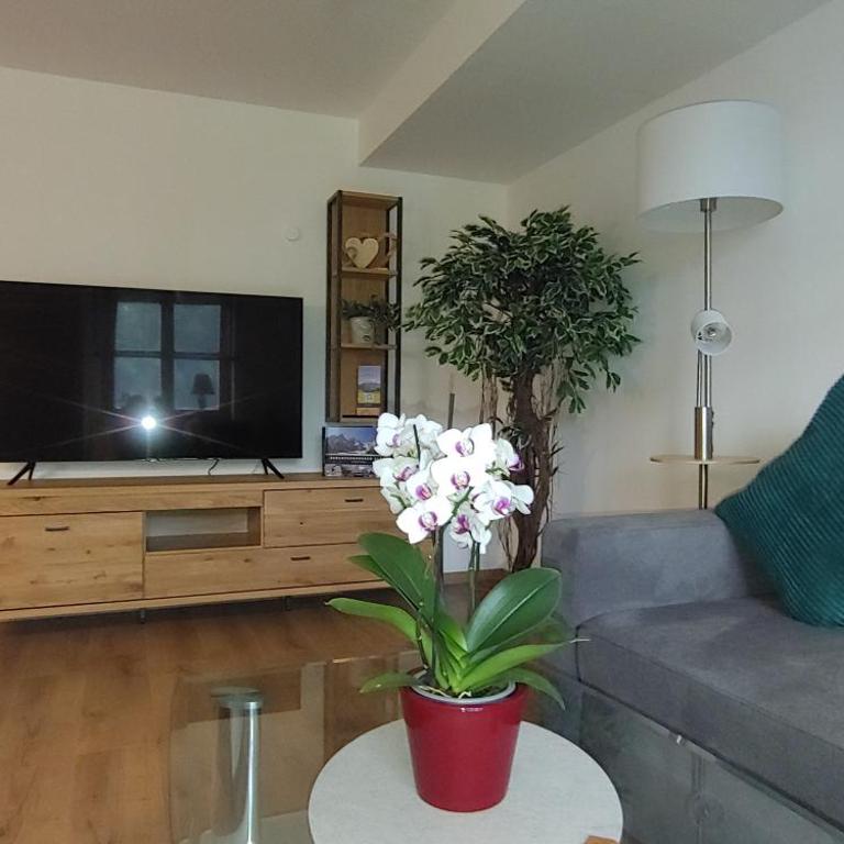Ferienwohnungen Andrea - Apartamento - 7
