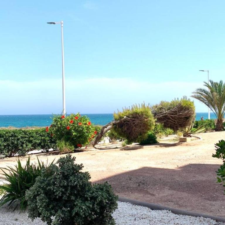 Los colores del Mar - Apartamento de 1 dormitorio - 16