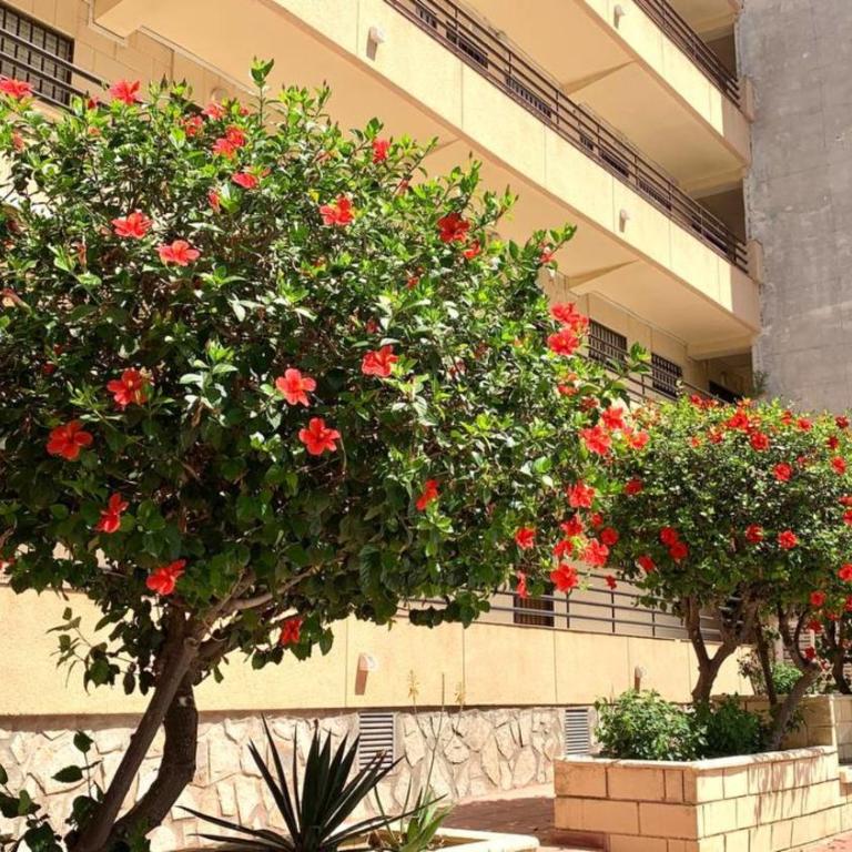 Los colores del Mar - Apartamento de 1 dormitorio - 17