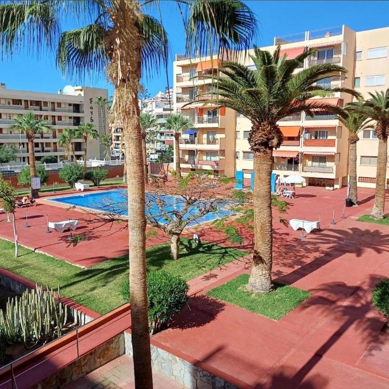 Tenerifeopenhome holiday apartment on the beach - Apartamento de 1 dormitorio - 51