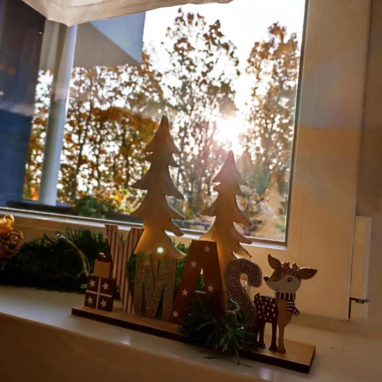 BlueSky - Apartman sa 1 Spavaćom Sobom - 19